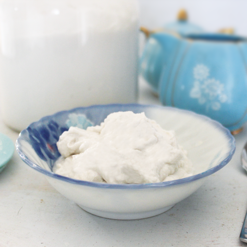 The easiest homemade coconut cream yoghurt recipe