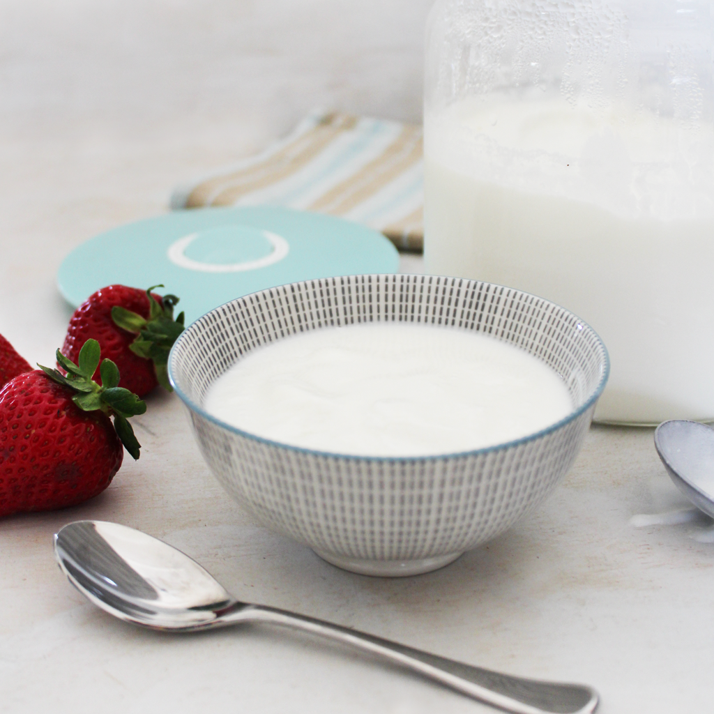 Receta de yogur 24 horas de leche de cabra para dietas SCD y GAPS