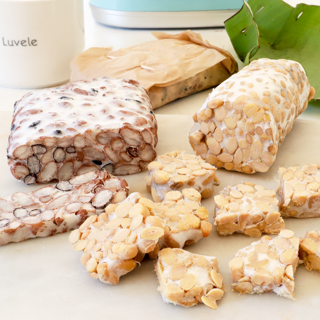 Make Fresh Tempeh in Your Luvele Yogurt Maker